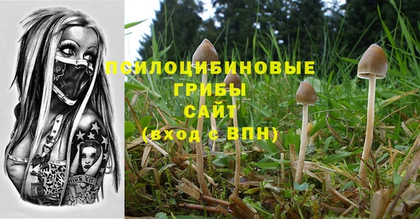 кокс Алзамай
