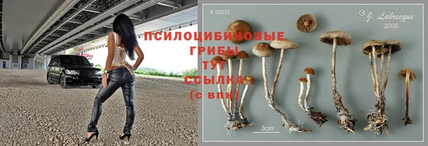 ALPHA PVP Белая Калитва