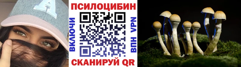 Галлюциногенные грибы Psilocybine cubensis  хочу   Невьянск 