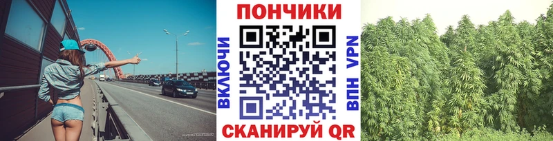 Бошки Шишки SATIVA & INDICA  Невьянск 